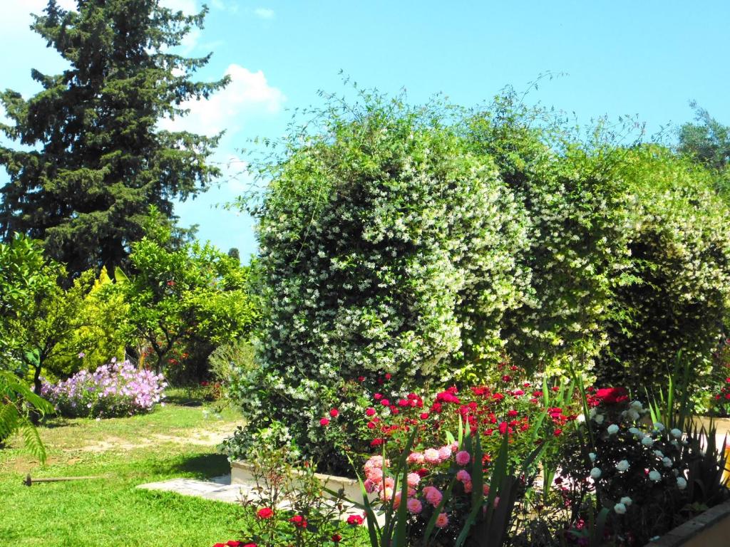ペラマにあるOlga's Hillのピンクと白の花と木々が植えられた庭園