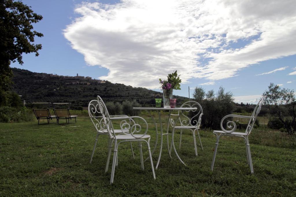 Príroda v okolí of the bed and breakfast