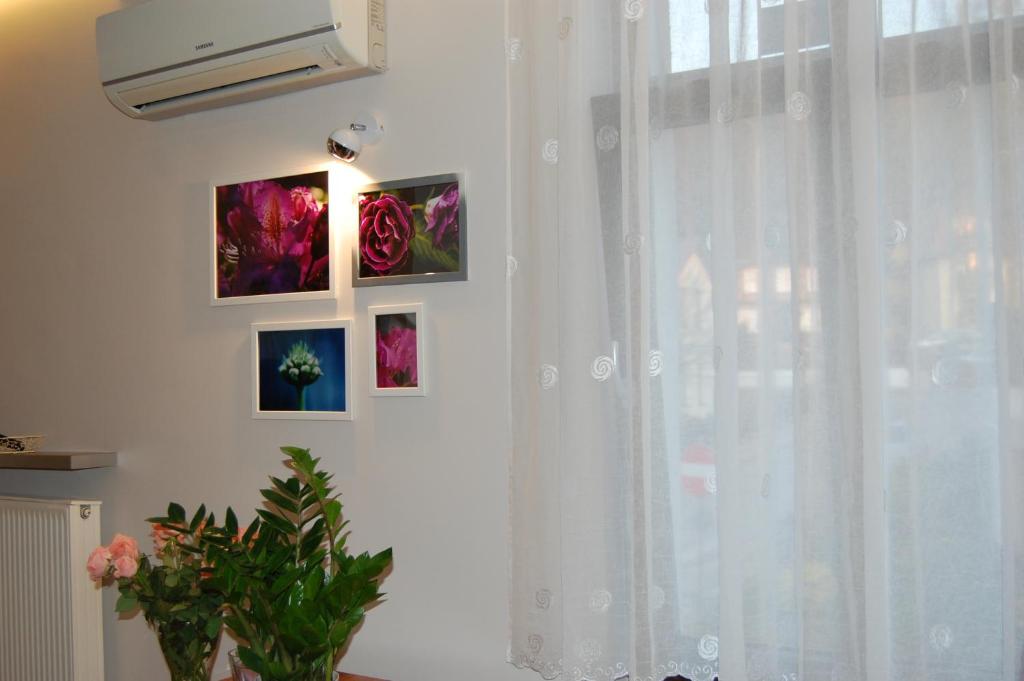 Fotografia z galérie ubytovania Villa Star v destinácii Międzyzdroje