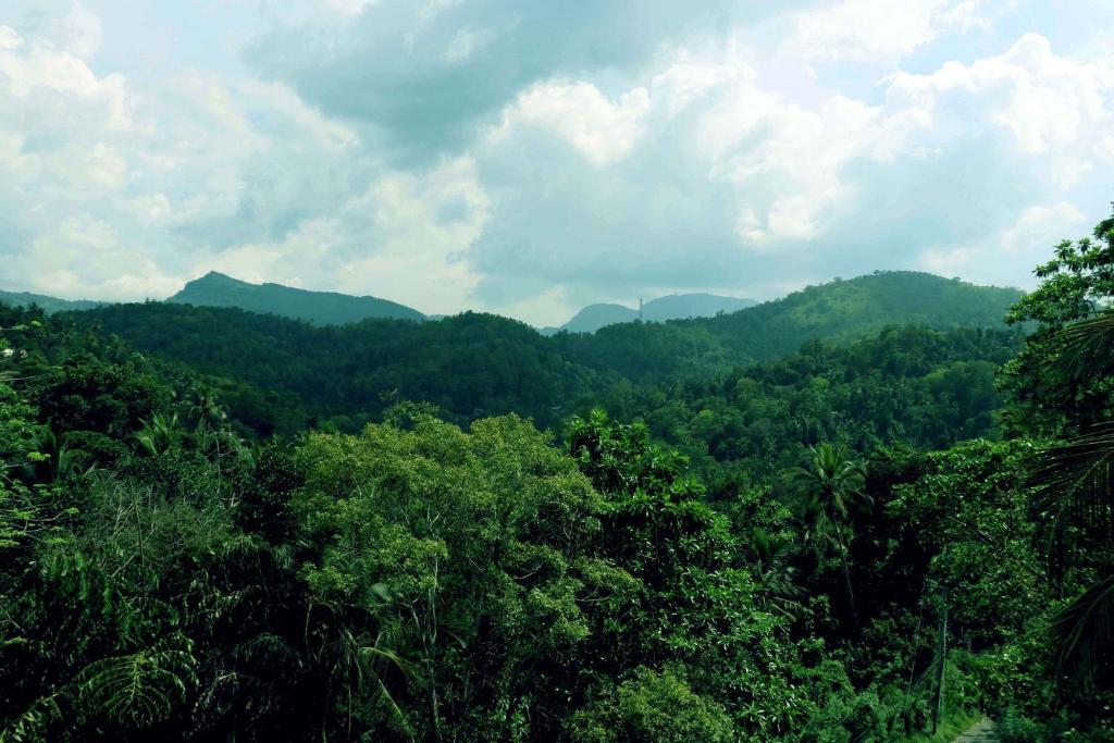 a view of a forest with mountains in the background at Villa Royce in Kandy