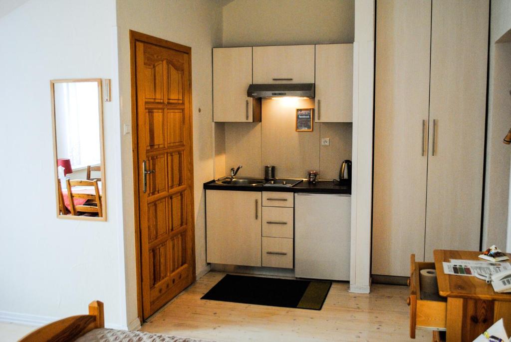 Kuchyňa alebo kuchynka v ubytovaní Hotel Krak