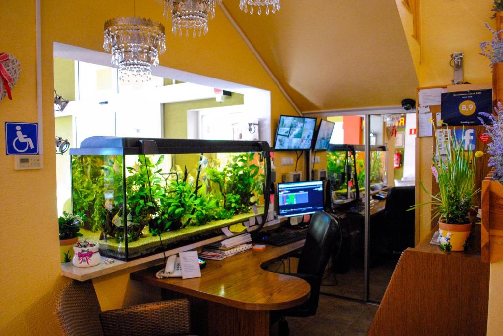 Televízia a/alebo spoločenská miestnosť v ubytovaní Hotel Krak