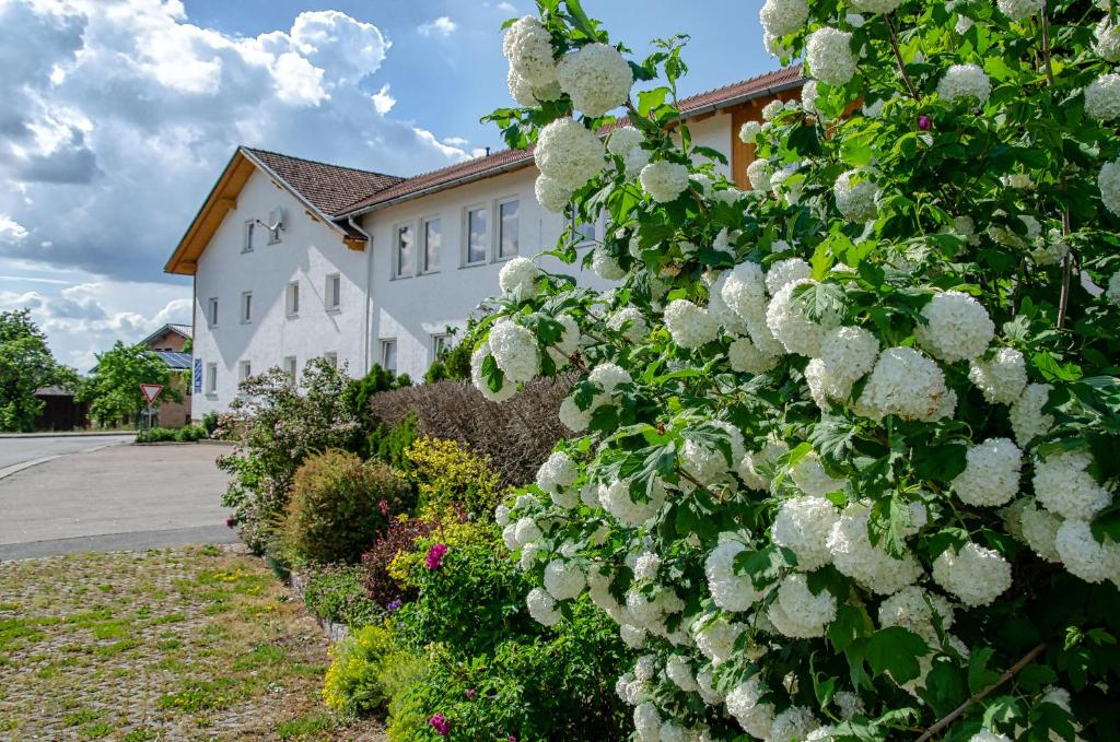 Zahrada ubytování Hotel Gasthof Altmann