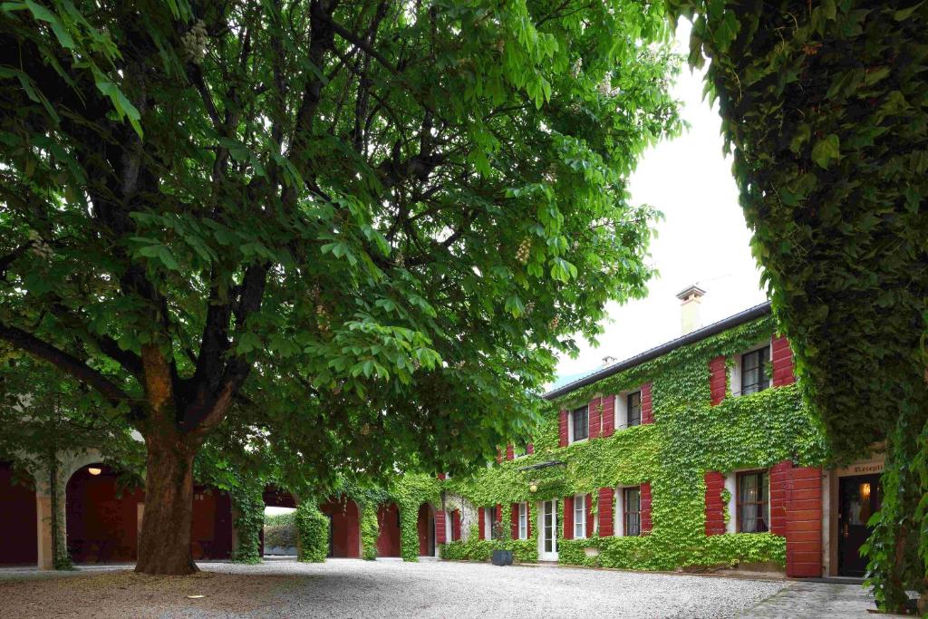 un edificio con un albero di fronte di I giardini segreti di Villa Marcello Marinelli a Cison di Valmarino