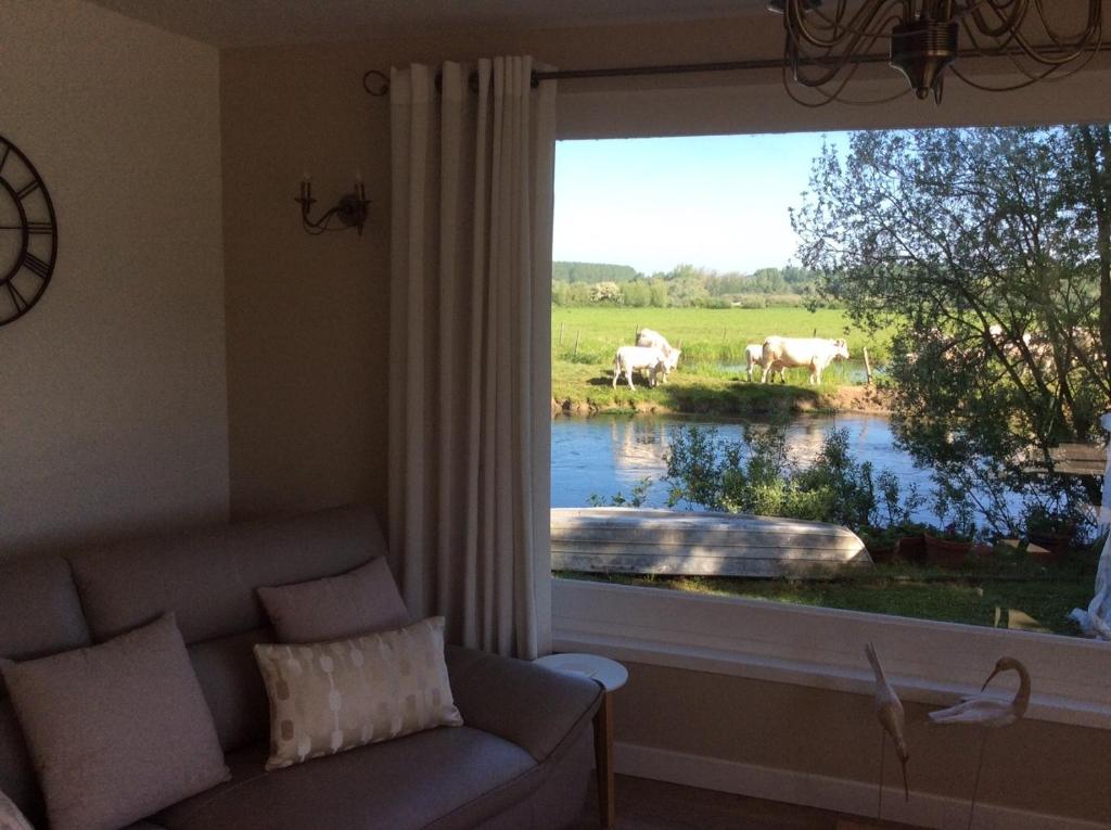 a living room with a couch and a window with horses in a field at Gite at 105 in Nampont-Saint-Martin