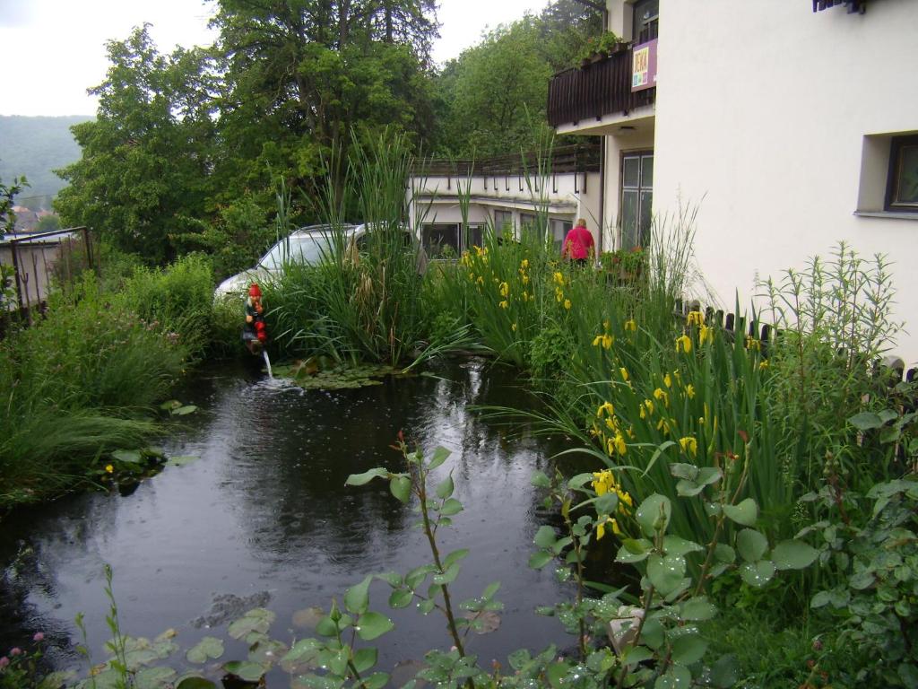 Příroda nedaleko apartmánu