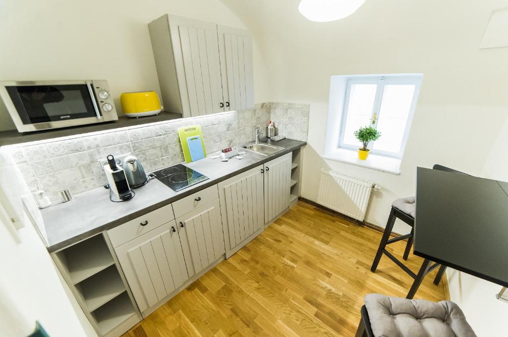 Kuchyň nebo kuchyňský kout v ubytování Babylon Apartmány