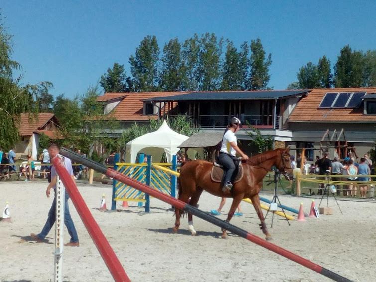 Hostia v ubytovaní Silver Horse Ranch