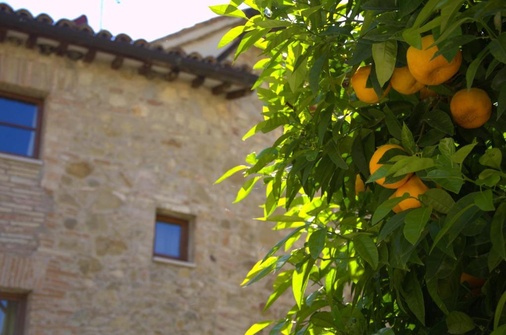 Fotografie z fotogalerie ubytování Grand Relais Laurenti v destinaci Gualdo Cattaneo