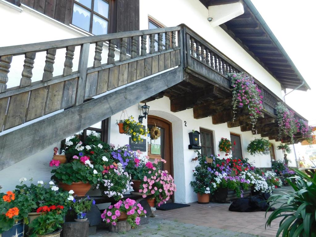 Фото Der Blankhof \Back to Roots\