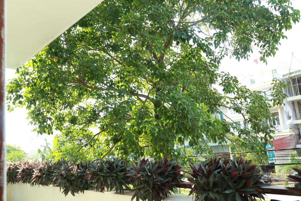 Thien Thanh Hotel - 1