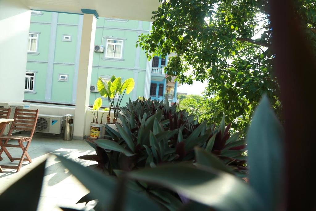 Thien Thanh Hotel - 9