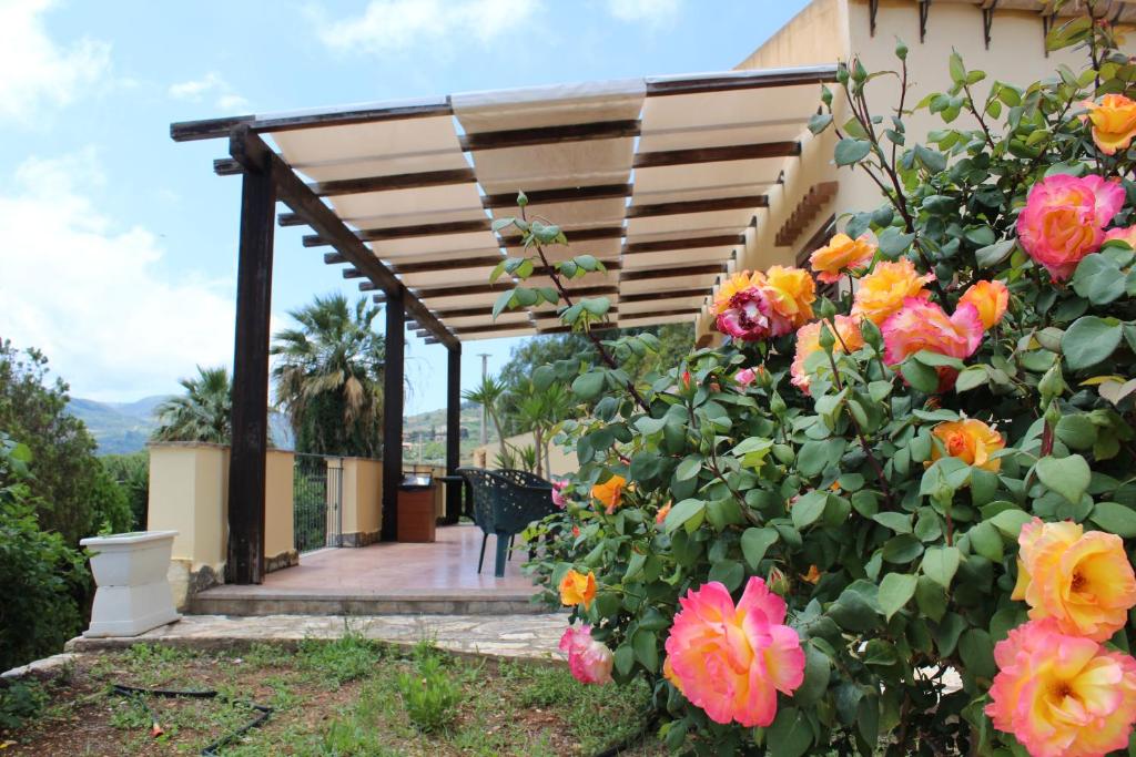 Zahrada ubytování Hotel Grotticelli