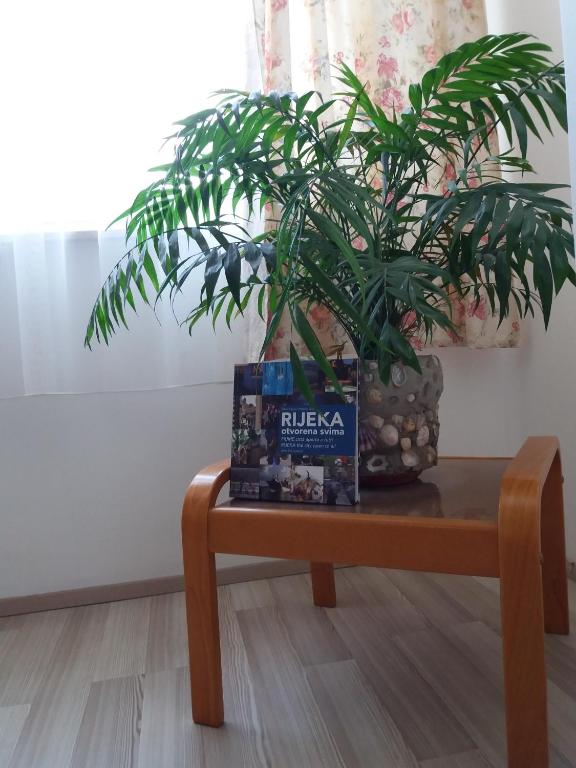 Apartment Cvjetna - 5