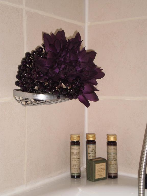 Hotel Corona -Rodier- - Resim 35