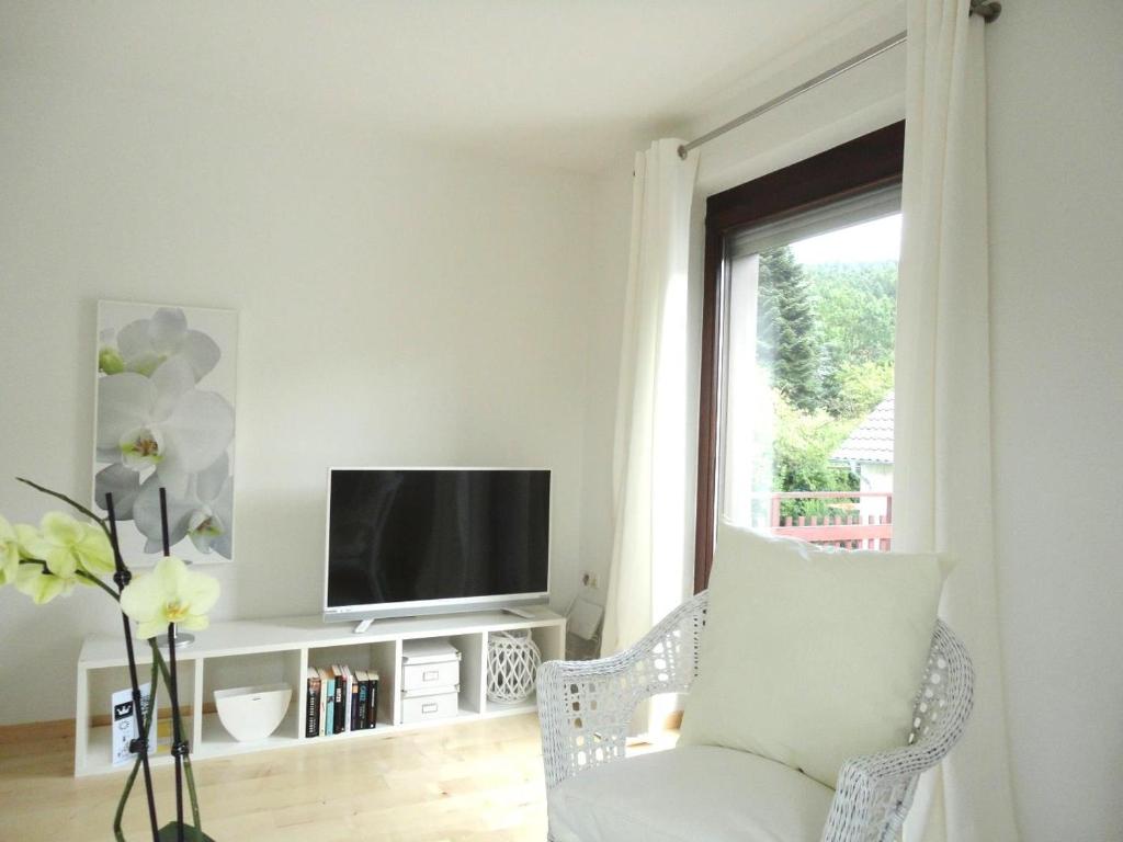 a living room with a television and a chair at Ferienapartment Ida in Lorch