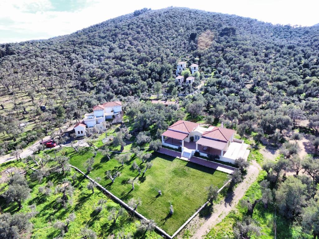 een luchtzicht op een huis op een heuvel bij Gera's Olive Grove - Elaionas Lesvou in Perama