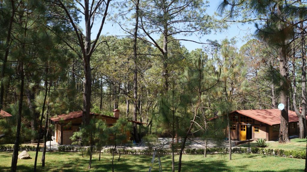 Zahrada ubytování Rincón del Bosque