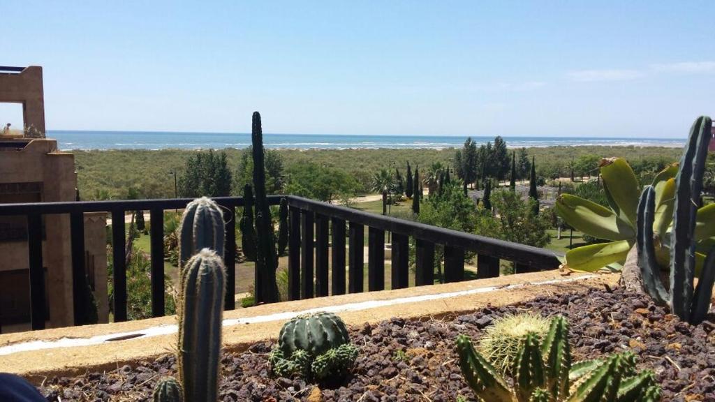 balcón con cactus y vistas al océano en Mar Canela Apartments en Isla Canela