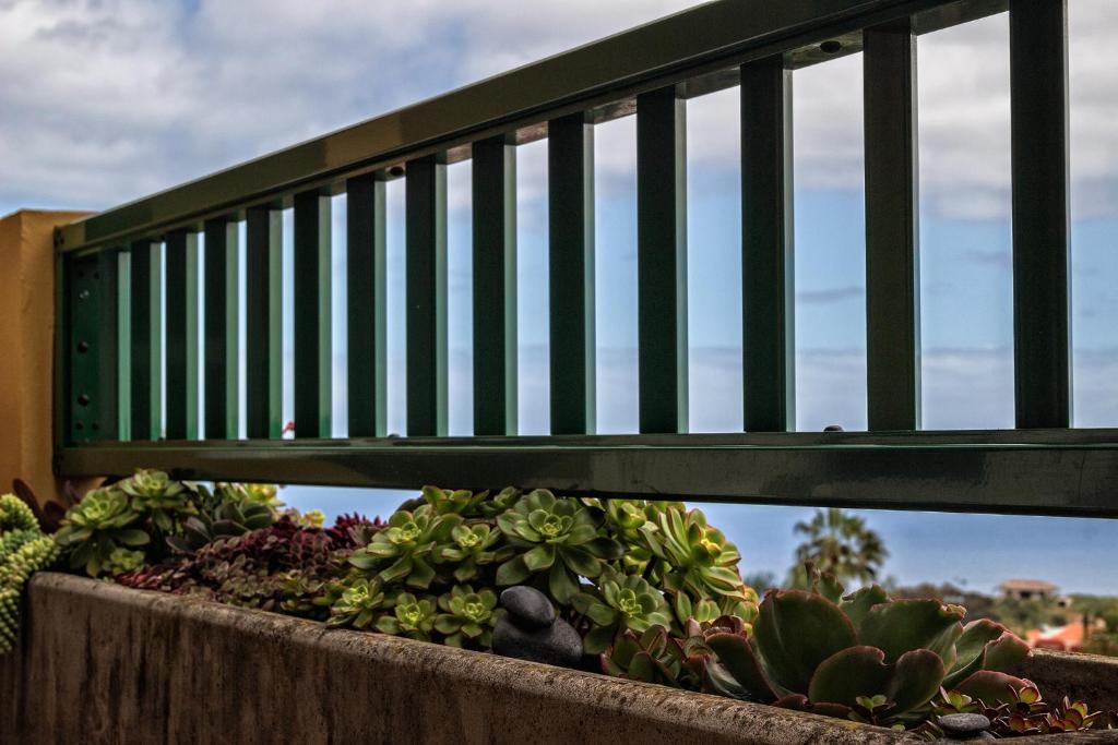 Kép Terraza vista océano La Quinta szállásáról Santa Úrsulában a galériában
