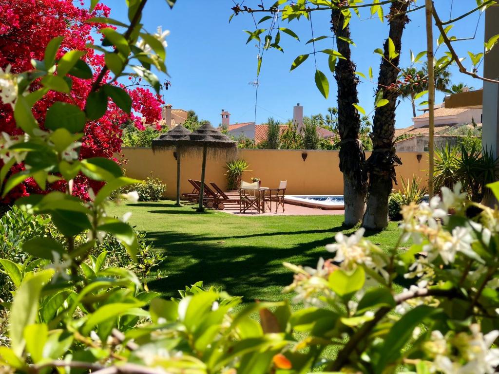 A garden outside ***CHALET ALICANTE*** EXPERIENCIA UNICA