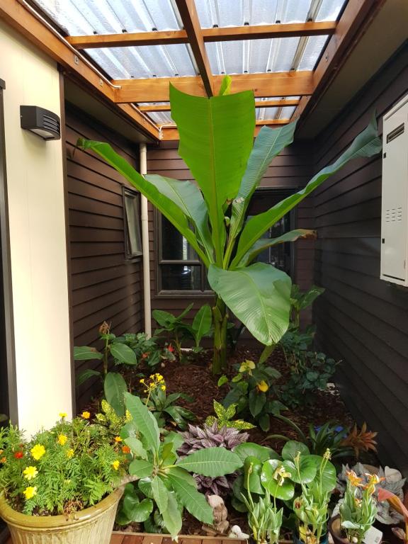 Heta Road B&B - Resim 20