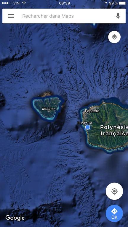 Villa Paradise Tahiti Mata Miti - photo 3 - Tahiti, Polynésie