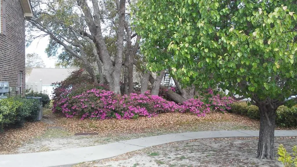 Apache Town Homes, Murrells Inlet (SC), United States