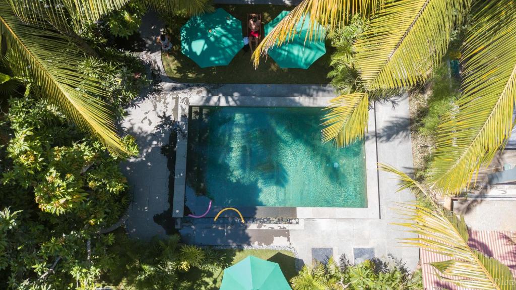 an overhead view of a swimming pool with palm trees at Pipes Hostel in Kuta Lombok