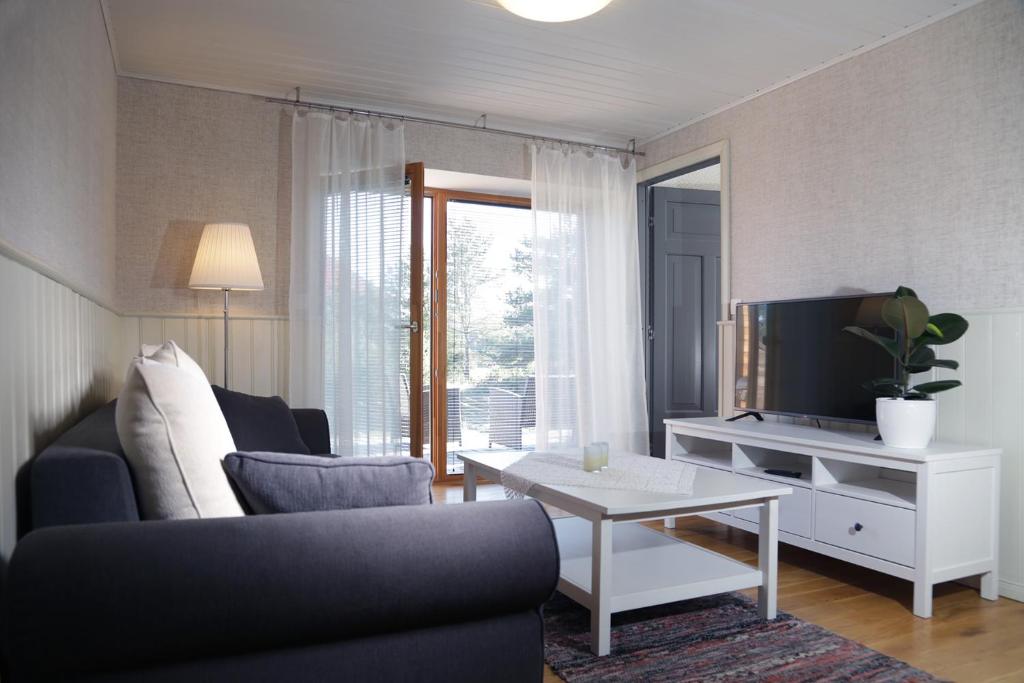 TV a/nebo společenská místnost v ubytování SÖRWESPA Nature Resort
