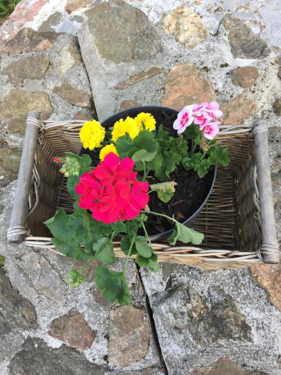 Rozmaryn Villa & Gourmet - Resim 18