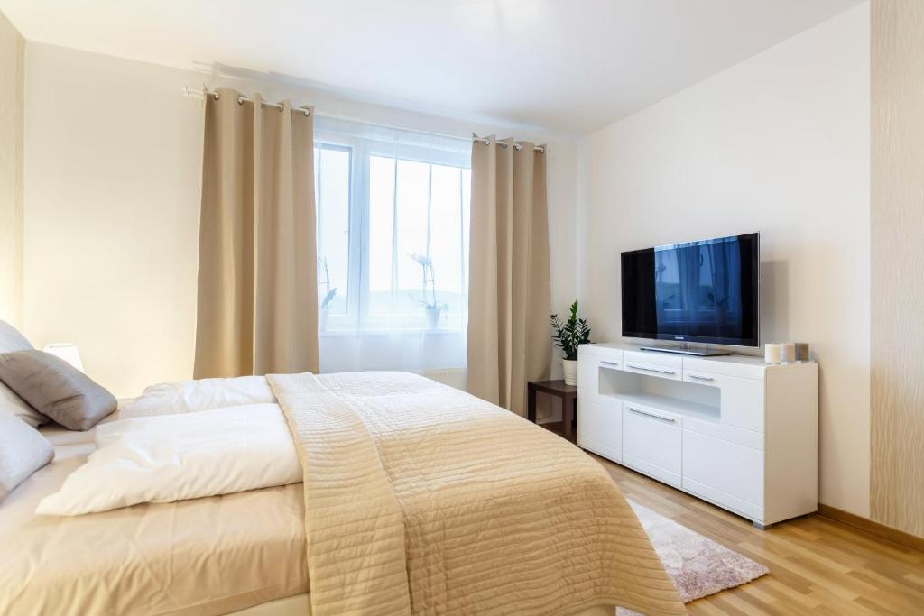 Telewizja i/lub zestaw kina domowego w obiekcie Golden Apartments Rezidence Nová Karolina