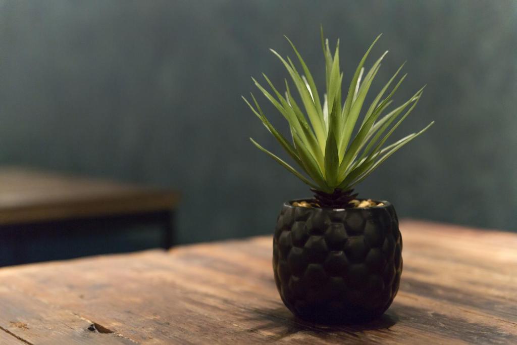 Petit Palace Canalejas Sevilla - Resim 32