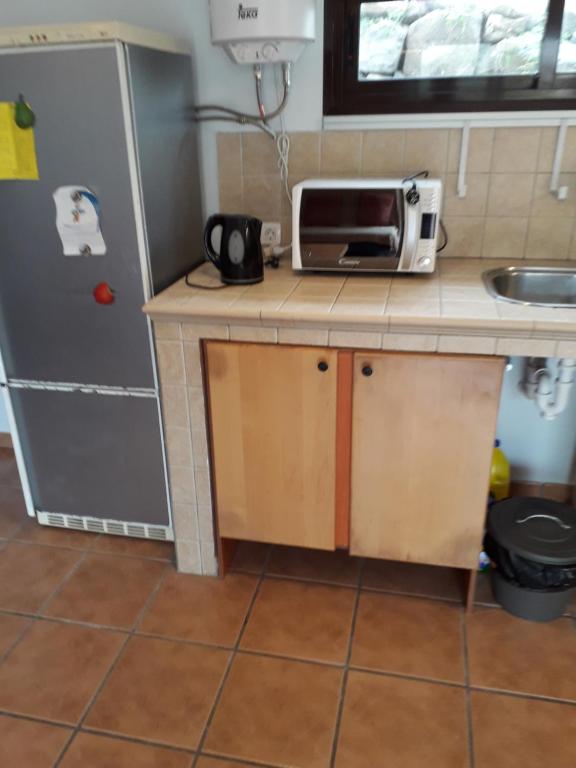 a small kitchen with a microwave and a refrigerator at Blue Beach in Famara
