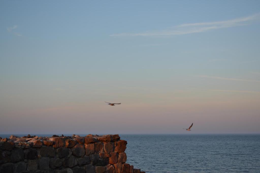 Foto da galeria de hotel DIAMANTI em Sozopol