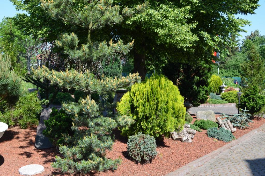 Hotel 3 Linden - Resim 24