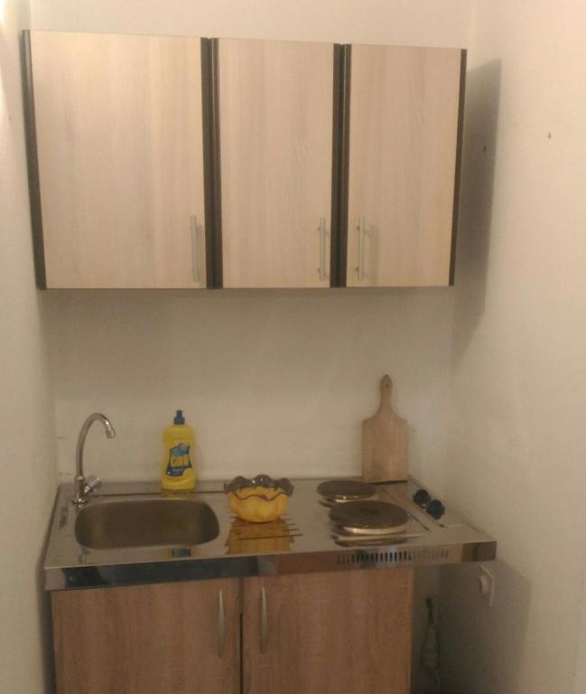 Kuchyň nebo kuchyňský kout v ubytování Apartment Angelina