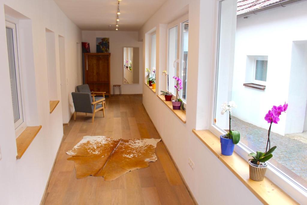 Fotografie z fotogalerie ubytování Ferienhaus in Langenlois v destinaci Langenlois