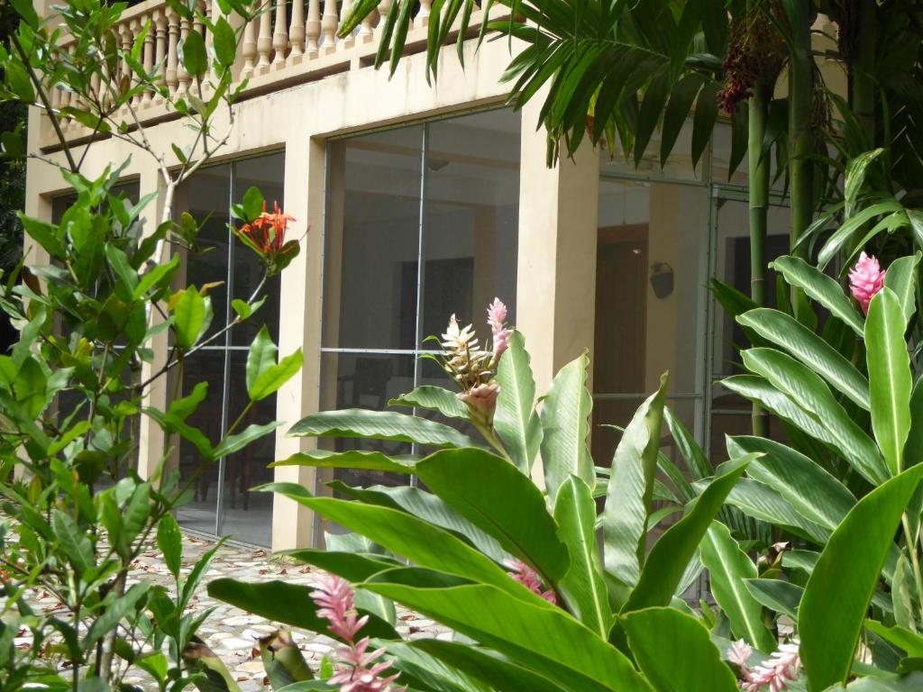 una ventana de un edificio con plantas en el primer plano en Villas Pico Bonito en La Ceiba