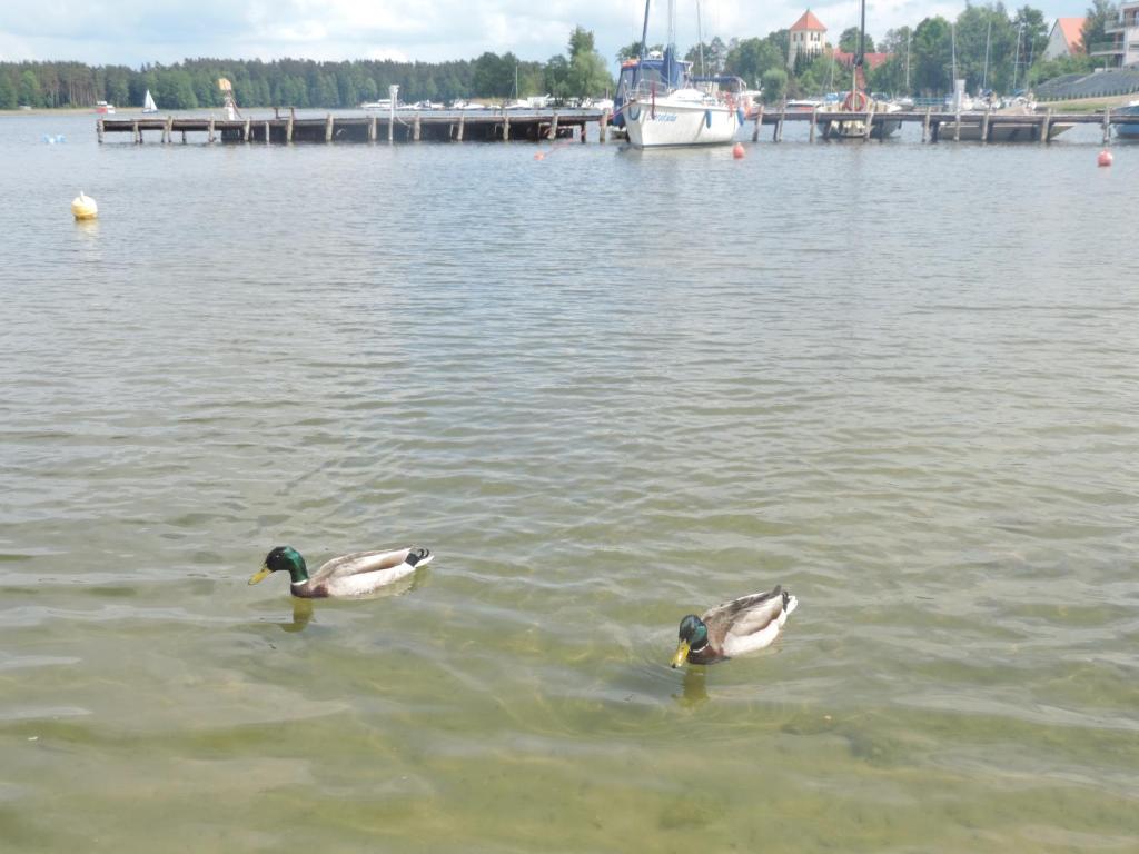 Príroda v okolí chaty v prírode