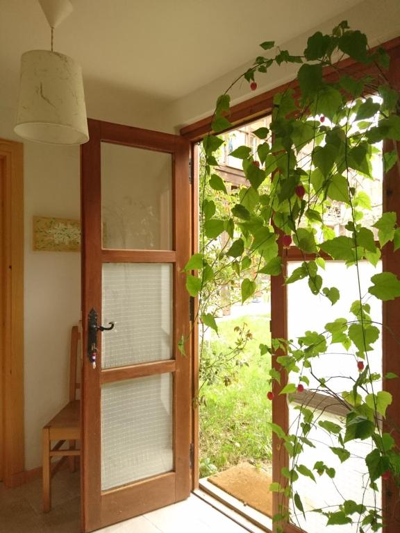 an open glass door with a plant in front of it at Casa Turreta in Ansó