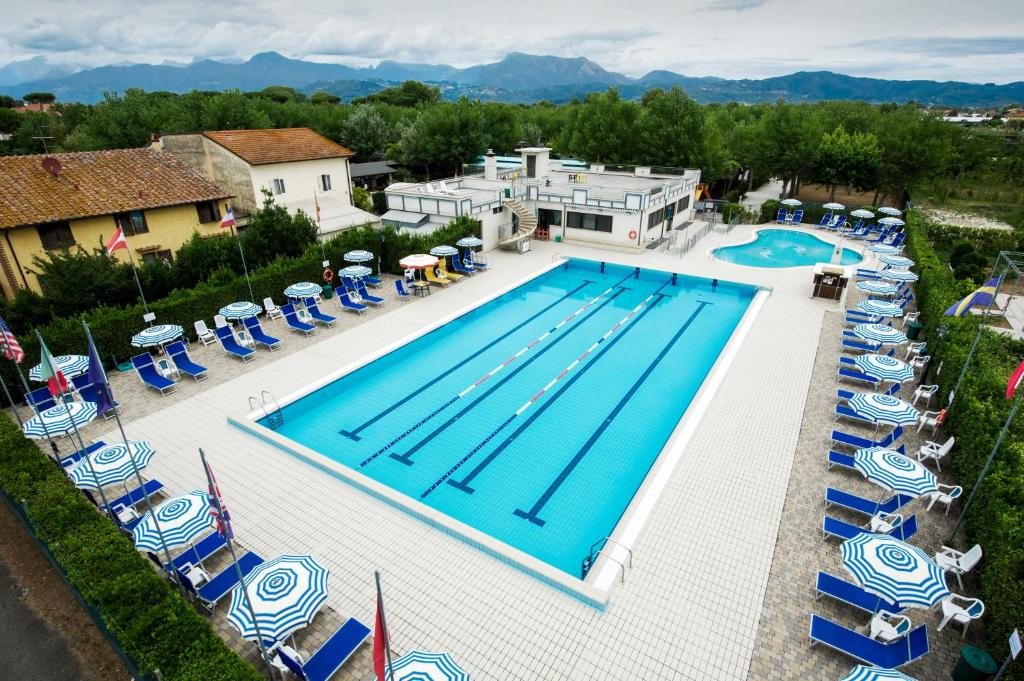 een uitzicht over een zwembad met blauwe en witte stoelen bij Camping La Pineta in Viareggio