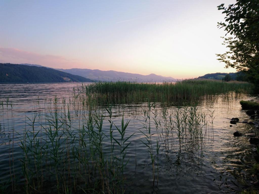 Příroda nedaleko penzionu – hostince