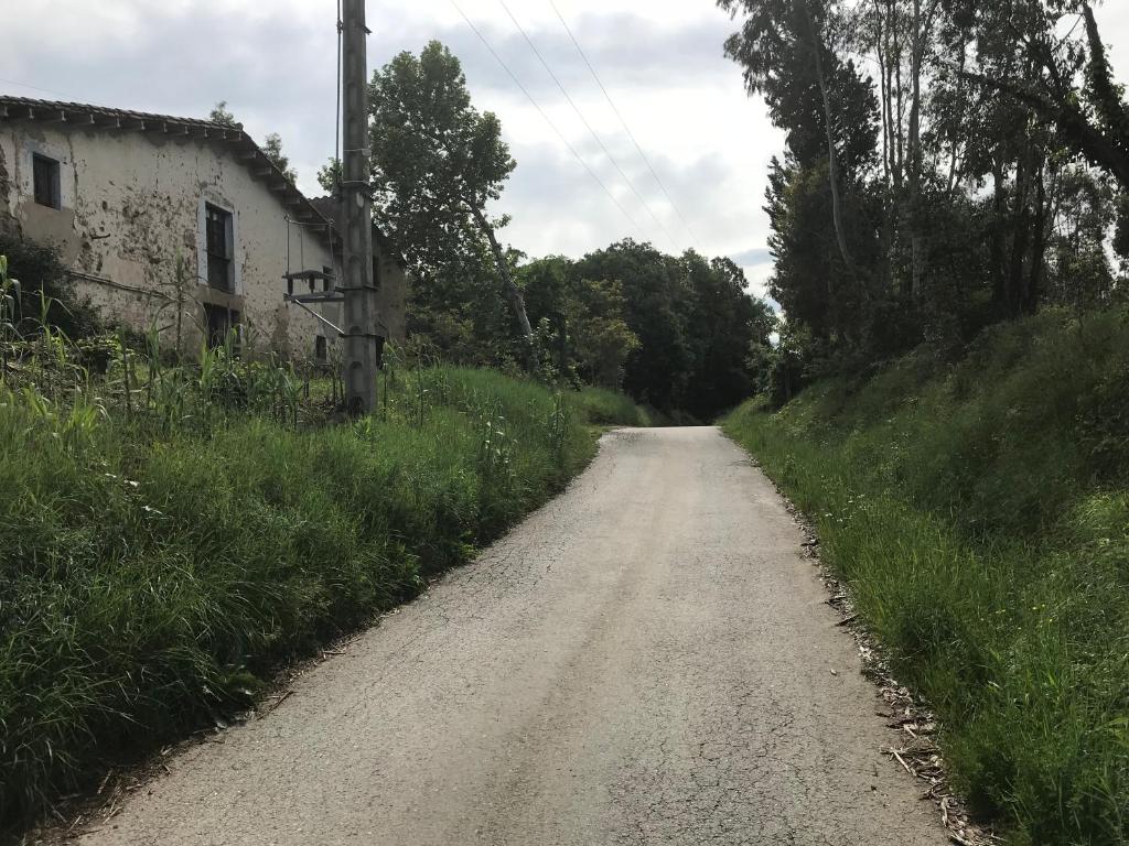 Příroda nedaleko venkovského domu