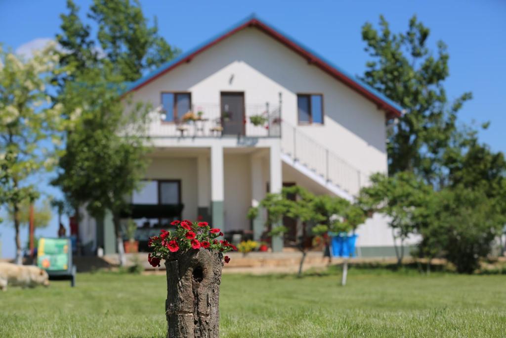 una casa con una maceta de flores en un tronco de árbol en Pensiunea Palaghia en Jurilovca