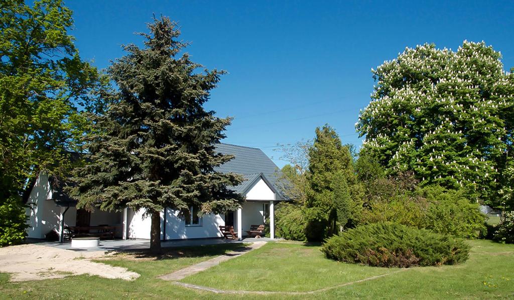 Biały dom z drzewem w ogrodzie w obiekcie dom do wynajecia oaza w mieście Leszyce