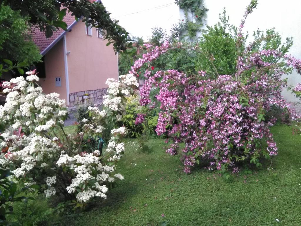 Apartment Tomašević - 4