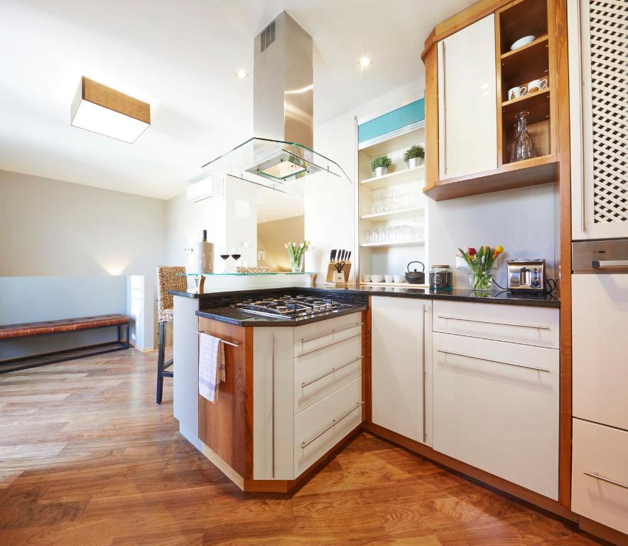 Kuchyň nebo kuchyňský kout v ubytování Vienna Penthouse 2