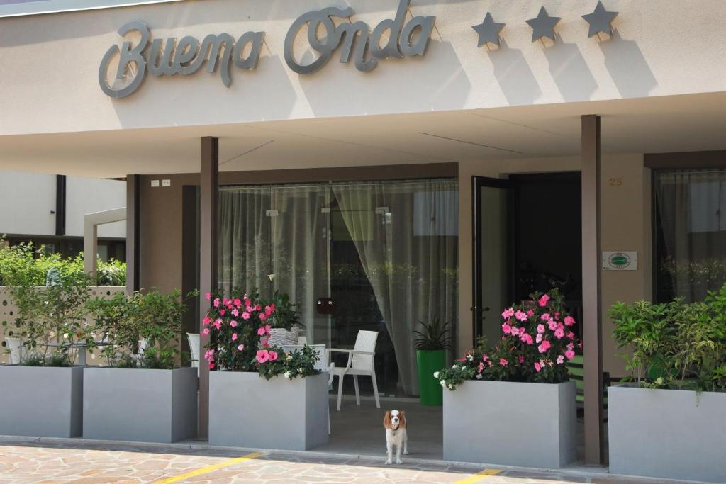 Ein Hund steht vor einem Gebäude mit Blumen. in der Unterkunft Hotel Buena Onda in Peschiera del Garda