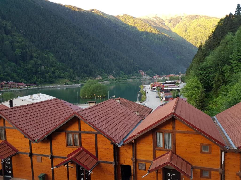 un groupe de bâtiments avec une rivière et des montagnes dans l'établissement Kaya Residence, à Uzungöl